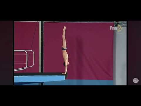 2007 Melbourne Diving World Championships 10M Final Favorites