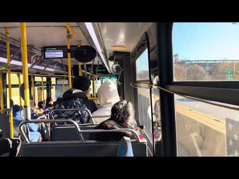 Q66 Bus