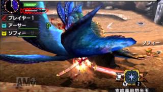 【MHX】 体験版 中級 ホロロホルル討伐 太刀/ストライカースタイル