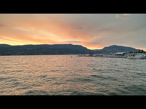 Exclusive Sneak Peek: Neighborhood Videos Coming Soon!