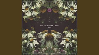 Enter the Black Lodge