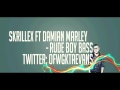 Skrillex ft Damian Marley - Make it bun dem ...