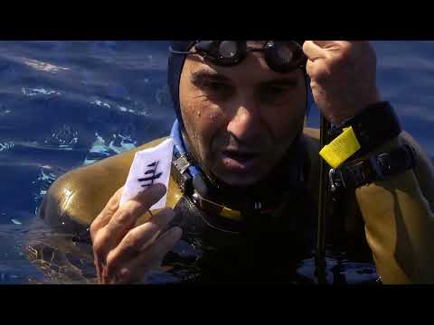 AIDA Depth World Championship Limassol 2023 - Day 4