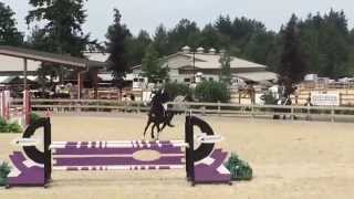 Video koně Comanche 23