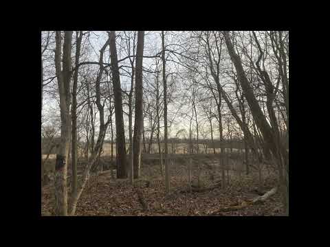 The Burger Chef Murders: The Murder Sheet Episode #4: "You Never Can Forget: The Backbone”