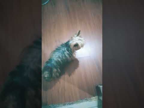 26 de febrero de 2023