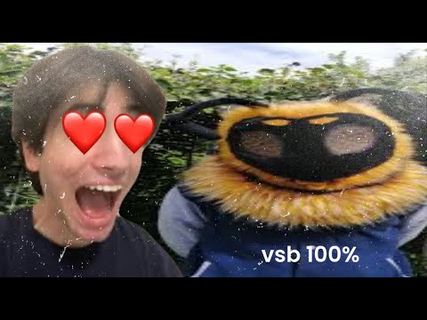 VSB 100%