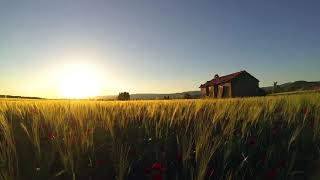 AO SON DA NATUREZA E  PASSROS  COM SON INSTRUMENTAL BEM FUNDO