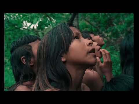 The Buriti Flower - Clip