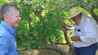 Solo ideal para plantio direto — Globo Rural