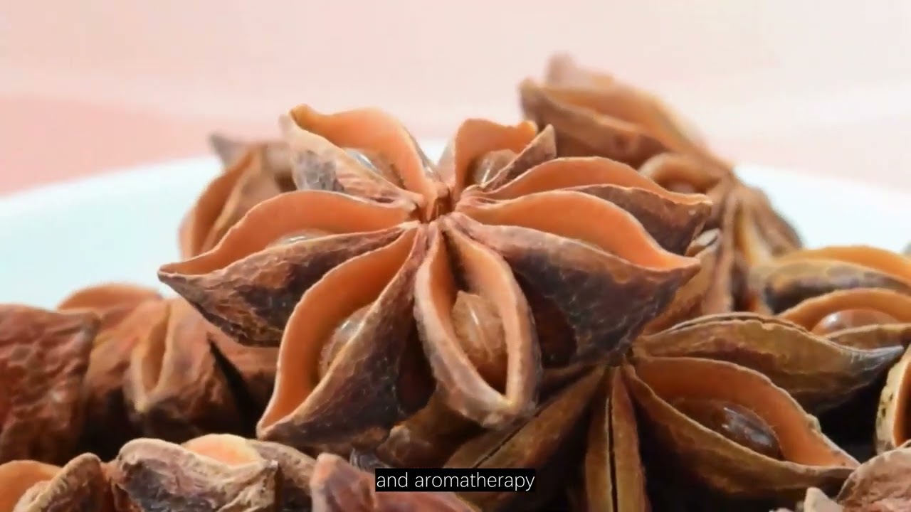 Platycladus Orientalis (L.) Essential Oil – A Warm and Earthy Aroma
