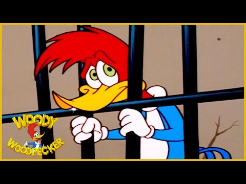 Woody Woodpecker Show | 1 Hour Compilation | Cartoons For Children