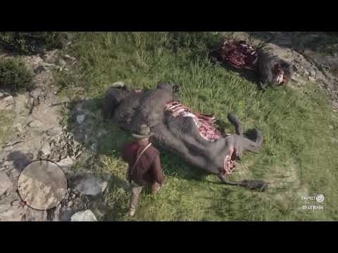 Red Dead Redemption 2 Kill Animals