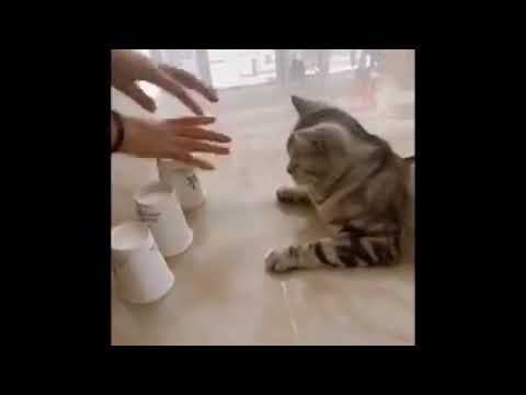 bahe g yaar video ko like and subscaraebi kardo plz my help me