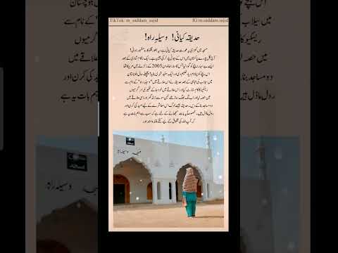 HADIQA KIYANI MashAllah #shortsvideo