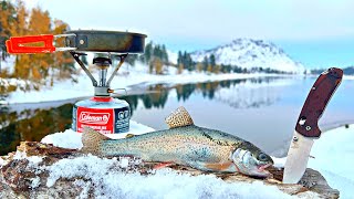 WINTER TROUT Fishing in REMOTE Mountain Lakes!!! (SOLO Catch &amp; Cook)