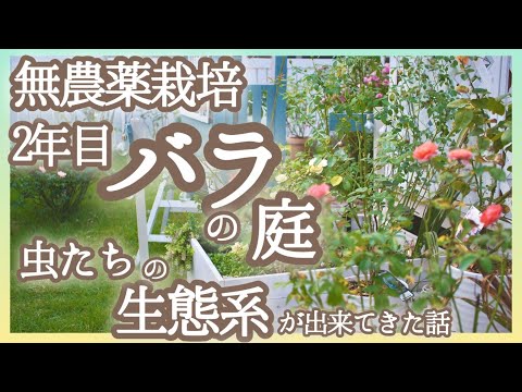 血のように赤いキジムシロ 植物