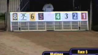 Abilene Janet Wheeling Downs Grade M 11.19.10.wmv