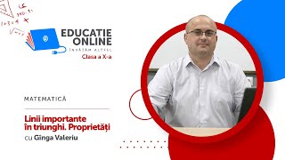Linii importante în triunghi. Proprietăți