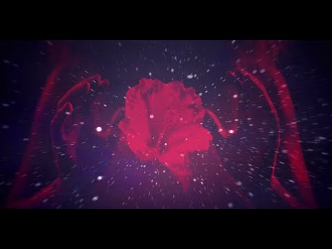 Sonámbulo Psicotropical - Afrujo (VIDEO OFICIAL)