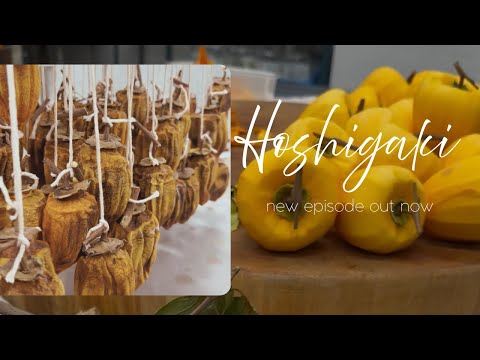 Hoshigaki From Start to Finish | Hand-Massaged Japanese Dried Persimmons