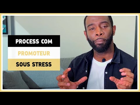 La personnalité promoteur et le stress - Process communication