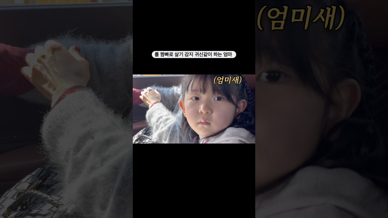 관심이 필요한 엄미새