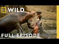 Wildlife Warrior Full Episode Kings Of The Wild Nat Geo Wild