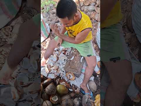 Seperti ini cungkil daging kelapa buat kopra. #trending #kopra #coconut