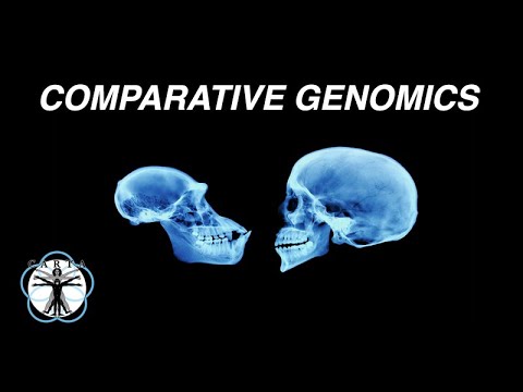 Evan Eichler: Comparative Genomics