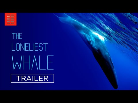 The Loneliest Whale: The Search for 52 (Trailer)