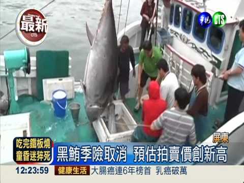 東港雙喜! 第一鮪.第二鮪連著來