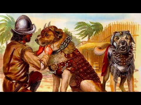 Roman mastiff sales war dog