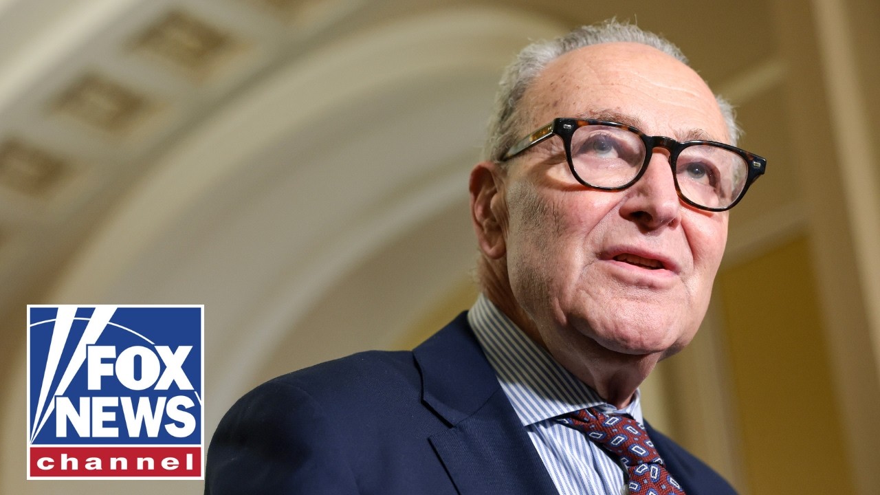 If the DSA wins, they’ll KICK OUT Schumer: David Asman