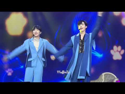 Learn to meow #dmdlandconcert #zeenunew 19.06.22