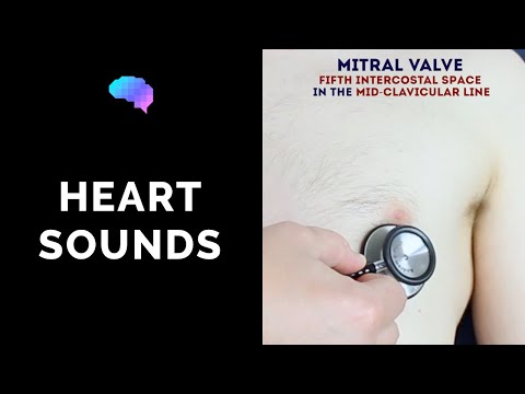 Heart murmur sounds (cardiac auscultation sounds) | UKMLA | CPSA | PLAB 2