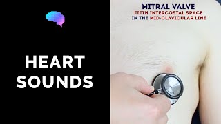 Heart murmur sounds (cardiac auscultation sounds)