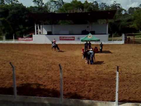 Marcha Mangalarga - Mococa, SP - 14.11.2009 (09 de 10)