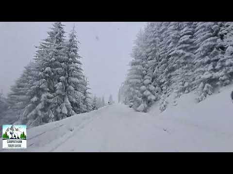 TransBucegi Dichiu Cabana Bolboci(1)