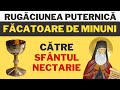 Rugaciune Catre Sf Nectarie Face Minuni Daca E Rostita De 3 Ori