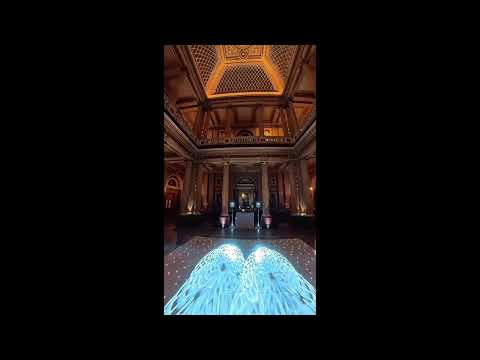 Requedainious Entertainment video.