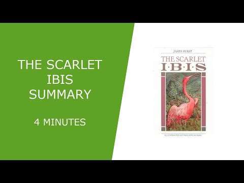 The Scarlet Ibis Summary