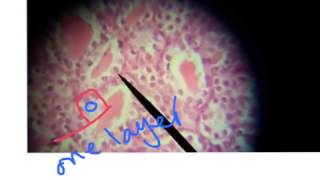 Final revision of high power slides 2014-2015