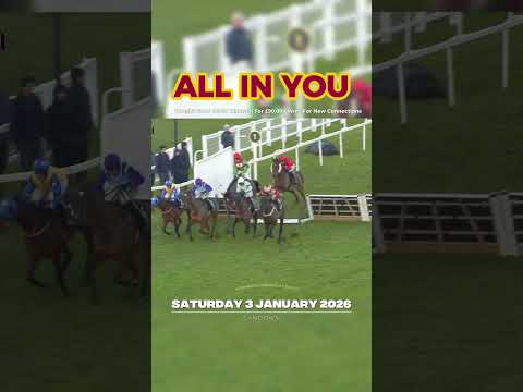 🟤ALL IN YOU Wins For New Connections For The First Time Since The Purchase From David Maxwell.