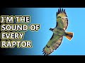 Red Tailed Hawk Facts More Familiar Than You Think Animal Fact Files