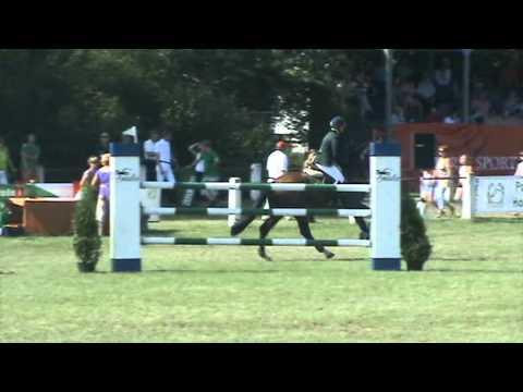 Ogiery Bonin - Clavius