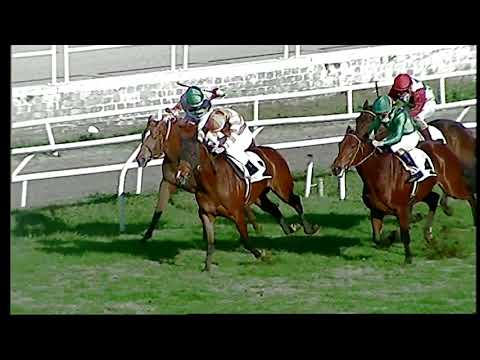 Galoppo 07/12/2020 - 2ª corsa