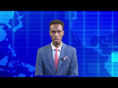 Warka Universal TV 30 10 2022