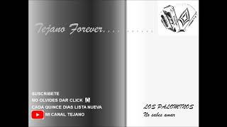 Los Palominos - No sabes amar