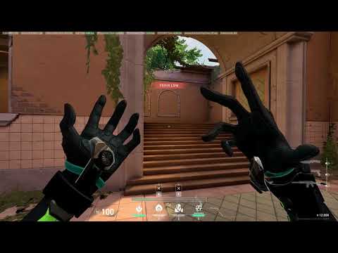 The only Viper guide you will ever need